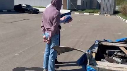 Сотрудники ФСБ взяли группу контрабандистов, переправлявших на Украину комплектующие к вертолётам Ми-8 и Ми-17