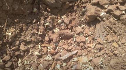 Украинские боевики снова обстреляли посёлок Климово Брянской области