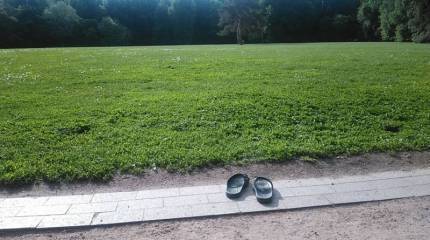 Записки Колорадского Таракана. Украина, которая сбрасывает шкуру