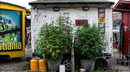 Посол России в Дании назвал причину того, почему Швеция "видит" российские подлодки у своих берегов и угрожающие авиалайнерам истребители ВВС РФ