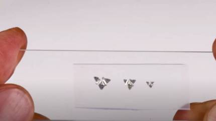 Самая маленькая летающая конструкция, созданная руками человека: гражданское применение и военные перспективы