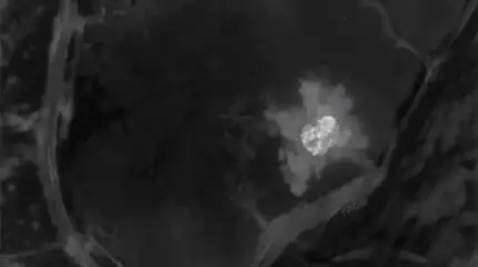 Уничтожена обстреливавшая Белгород РСЗО M142 HIMARS ВСУ