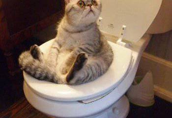 Киев – Москва: страх неолигархичности Новороссии