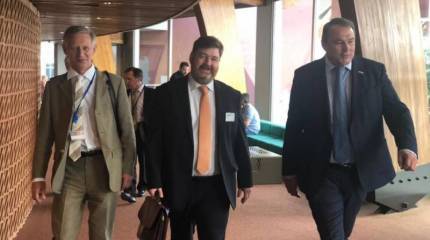 По уши в ПАСЕ