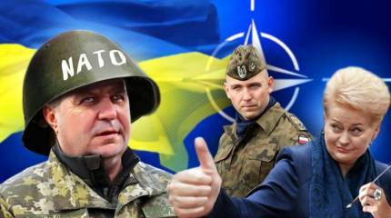 Поляки, литовцы и эстонцы учат украинских военных стандартам НАТО
