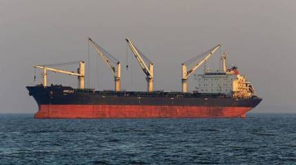 Власти США ведут с Анкарой и Киевом переговоры об альтернативных путях экспорта украинского зерна