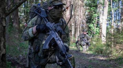 Международная бригада НАТО прикроет Литву от «российской агрессии»