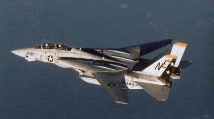 ВМС США ищут замену палубному F-14 Tomcat