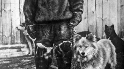 Полярник Георгий Седов: Выбор между смертью и позором