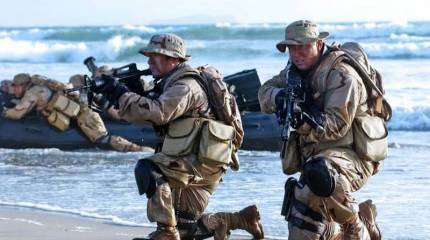 Немецкое издание: «Неприступную крепость» Крым помогут взять «морские котики» и «зеленые береты»