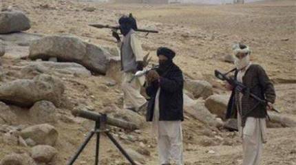 Глава таджикской погранслужбы поведал о том, что на севере Афганистана наблюдается рост концентрации боевиков