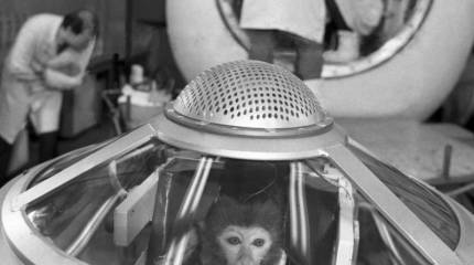 Первый снимок с немецкой ракеты, манекен и обезьяна: как американцы начинали своё исследование космоса