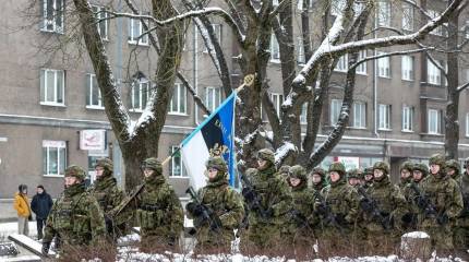 Эстония оказалась самой «решительной» в защите Гренландии от Трампа