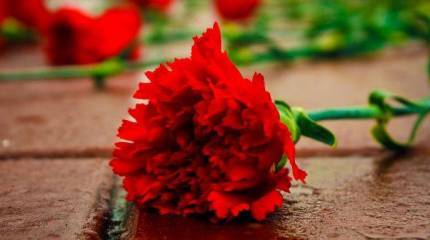 Как найти сведения о погибших в Великой Отечественной войне через Интернет (продолжение)