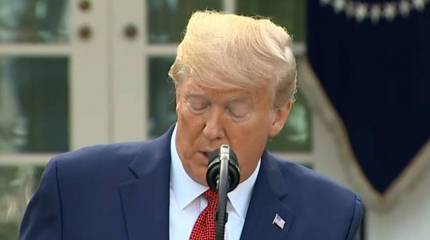 Выборы в США: Трампа может победить только коронавирус