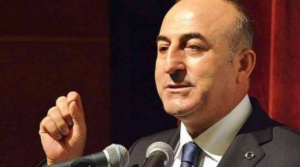 Турция надеется в скором времени увидеть Грузию членом НАТО