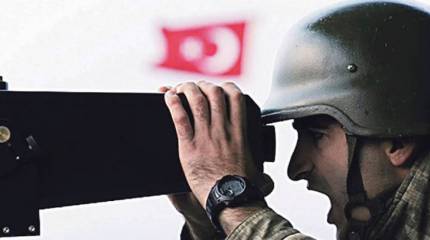 Оливковая метла