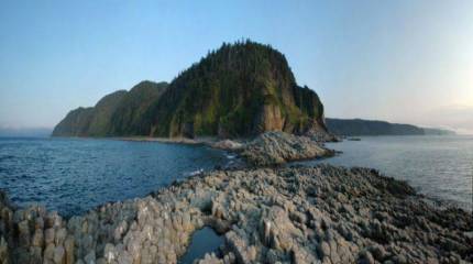 Японцы ждут от России «жеста доброй воли»