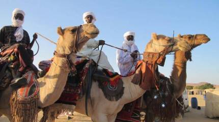 Фактор тубу. Последствия ливийской войны в сахарской политике