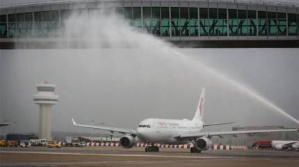 Британские военные не смогли предотвратить "атаку" дронов на аэропорт