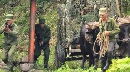 «Проявление изобретательности»: на Кубе прошли военные учения с волами и мулами