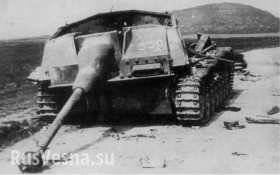 Украинская армия продолжает самоуничтожаться