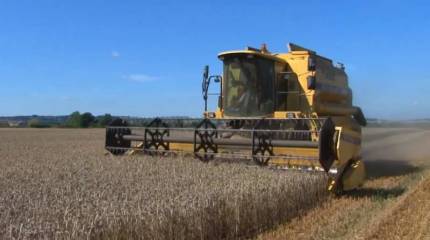 Введение Россией квоты на экспорт зерна вызвало тревогу в мире