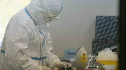 В США созданы опаснейшие штаммы вируса гриппа