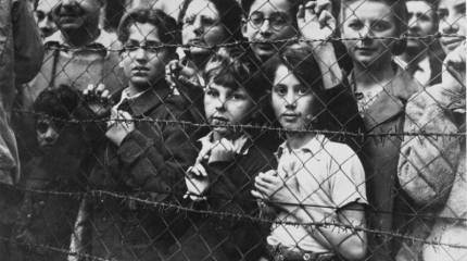 Международный день против фашизма, расизма и антисемитизма