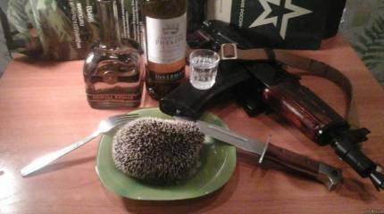 По мотивам украинских СМИ и отечественной либеральной прессы