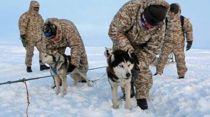 Впервые в условиях Северного полюса подразделение ВДВ совершает многокилометровый марш на собачьих упряжках