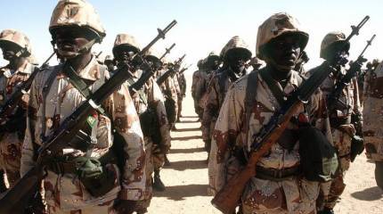 Представитель военных властей Нигера посетил Буркина-Фасо для обсуждения совместных действий на случай западной агрессии