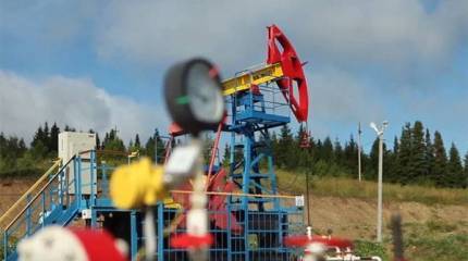 Обсуждается резкое падение цен на нефть