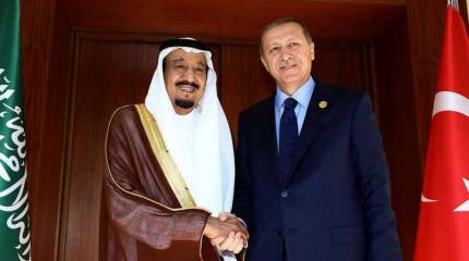 Лидеры Турции и Саудовской Аравии обсудили текущую ситуацию в САР