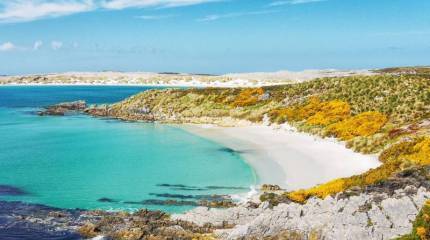 Официальный Лондон не поддержал план нового президента Аргентины по передаче Фолклендских островов