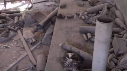 В Турции погиб Хейсем Топалджа, которого подозревали в поставках оружия и зарина сирийским боевикам