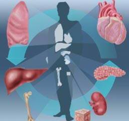 Охотники за человечиной