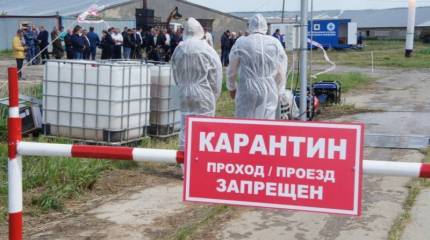 Как американцы готовят биологическую войну против России