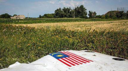 Родственники погибших в катастрофе MH-17 подали иск в американский суд на взыскание с Игоря Стрелкова 900 млн. долларов