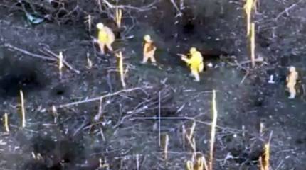 Минобороны России показало кадры зачистки подразделением ВДВ РФ опорного пункта ВСУ в районе Работино