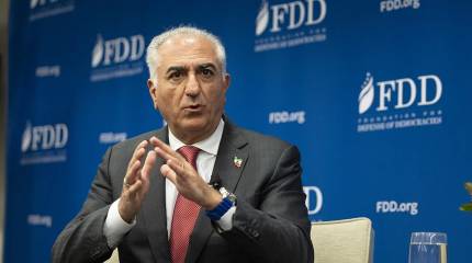 Сына иранского шаха Пехлеви облили краской после выступления в Берлине