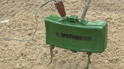 Президент Стубб: Финляндия выйдет из Оттавской конвенции, запрещающей противопехотные мины