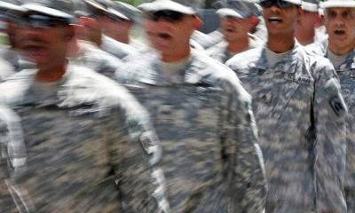 За зоофилию американских военных снова будут карать