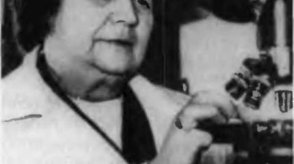 Наука на войне