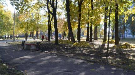 Донбасские хроники-4. Чистота под свист снарядов