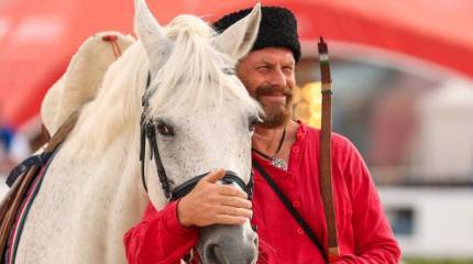 Когда твой конь вместе с тобой