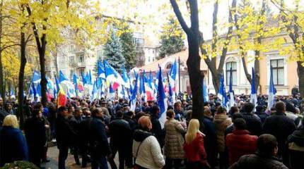 Лебедь, рак и щука по-молдавски