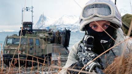 Знают ли норвежцы русскую поговорку "кошка скребет на свой хребет"?