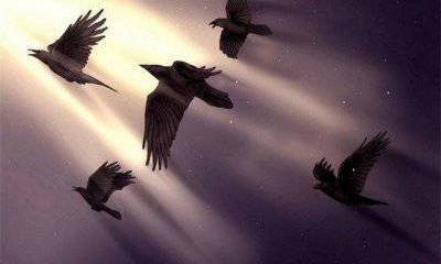 Об обострении антироссийской кампании в России: нехорошая версия