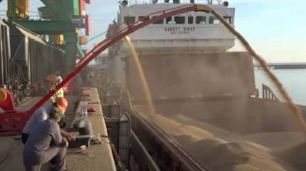 Украинскую часть зерновой сделки решили продлить на два месяца